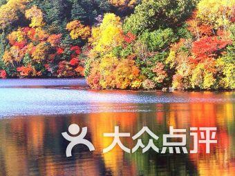 北青报:本届亚洲杯呈现“西强东弱”态势,已有5支球队提前出线