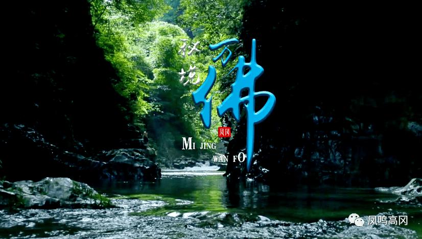 邓小立||关于促进苗医药发展的思考和建议