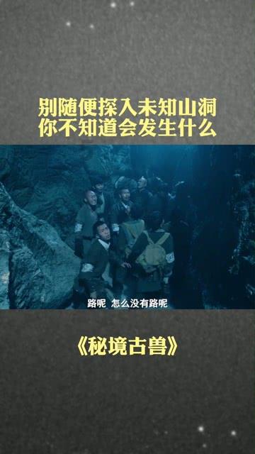 动物帮帮忙保卫家园