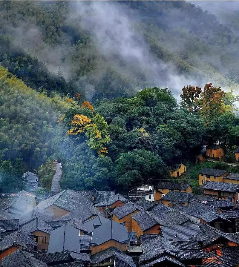 逃离神秘之林