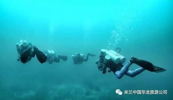 人类：一败涂地