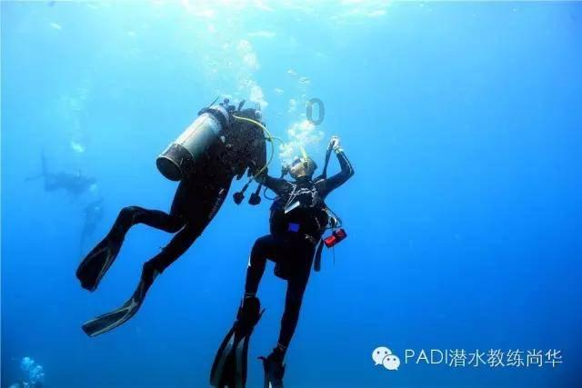 集运指数（欧线）主力合约日内涨超12% 机构称春节前集运运价下行空间有限
