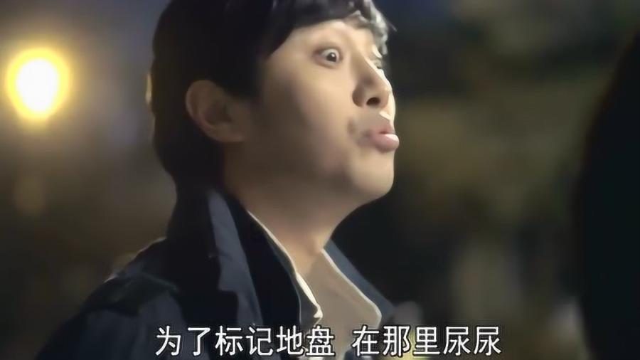 逗小猴开心系列205