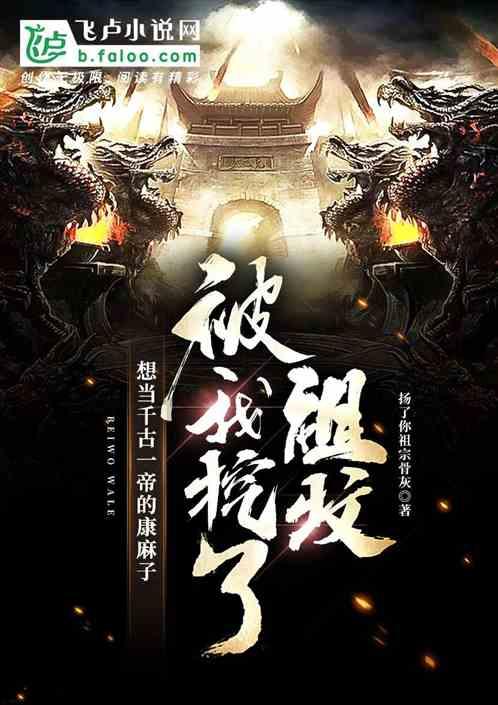 以色列新停火协议公布 会是“权宜之计”吗?